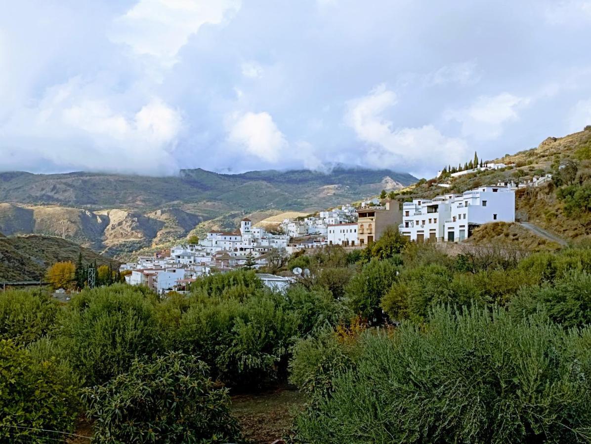 El Almendro De Maruja Leilighet Torviscón Eksteriør bilde